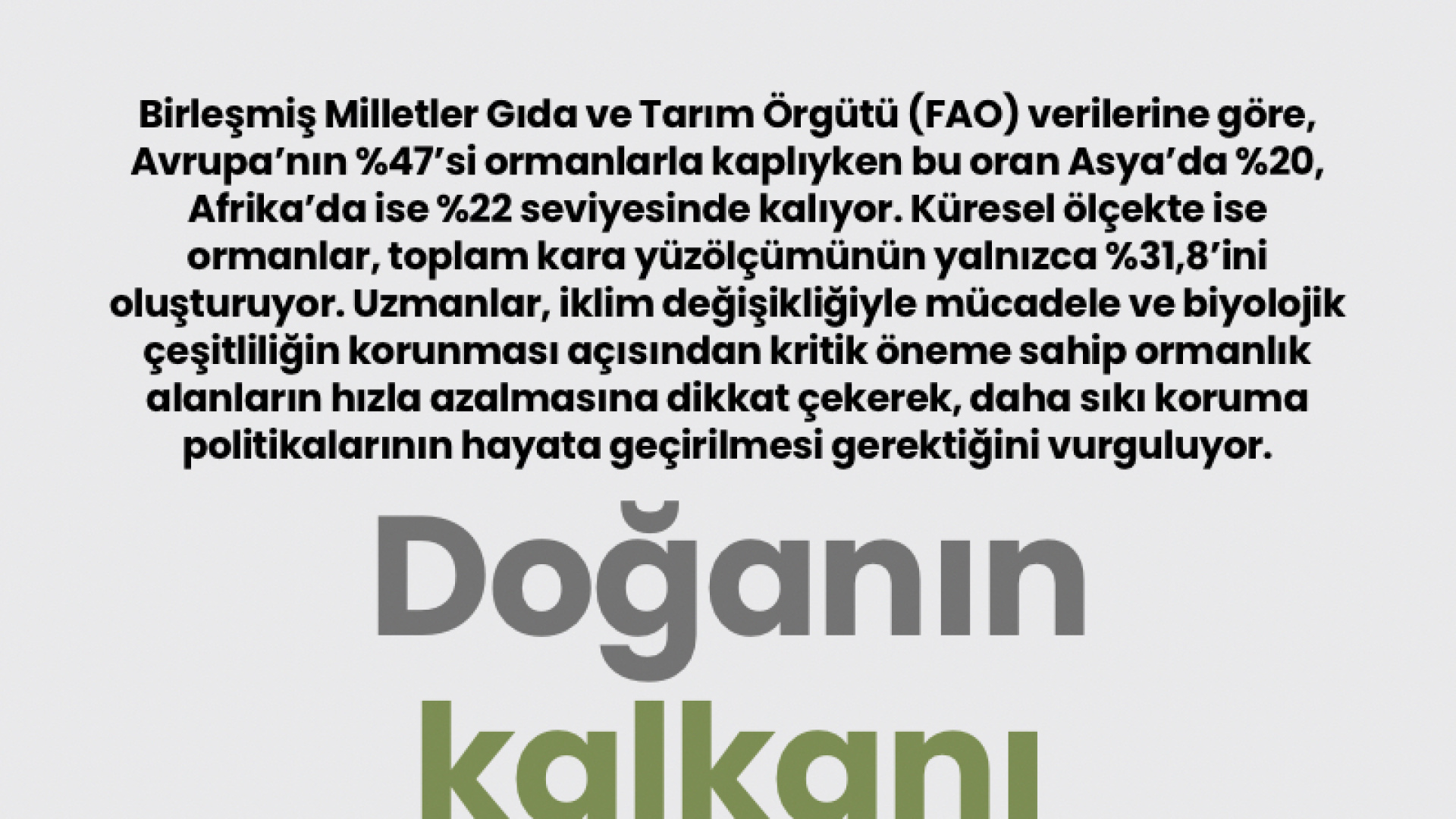 Doğanın Kalkanı Zayıflıyor: Küresel Orman Varlığı Alarm Veriyor