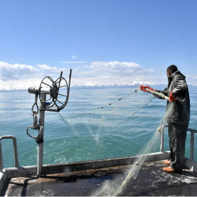 Van Gölü'nde yasak öncesi son ağlar atılıyor