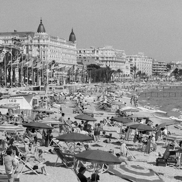 Ara Güler Müzesi'nde yeni sergi: CANNES!