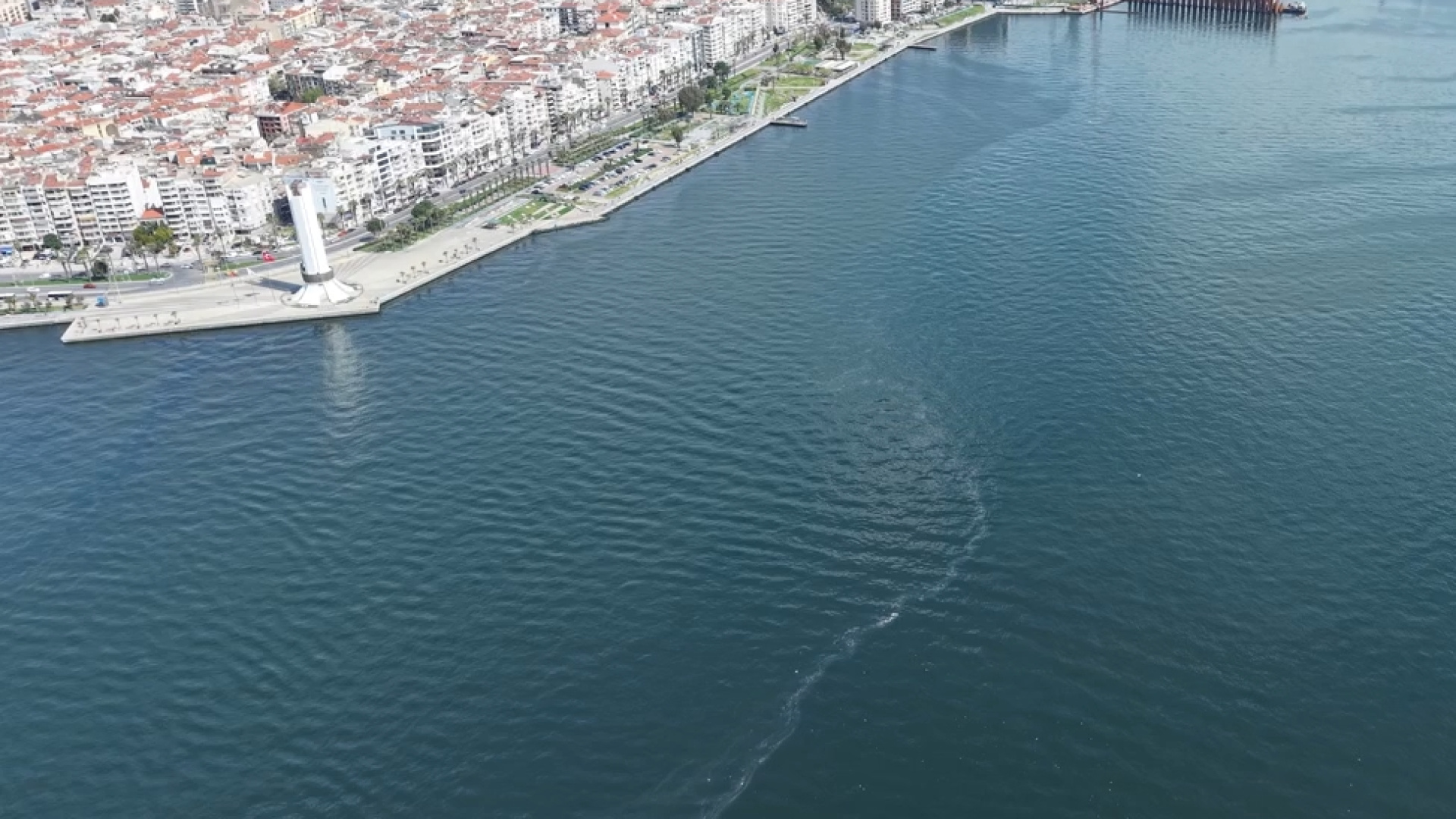 İzmir Körfezi'nde yine dış kaynaklı kirlilik | Son dakika haberleri