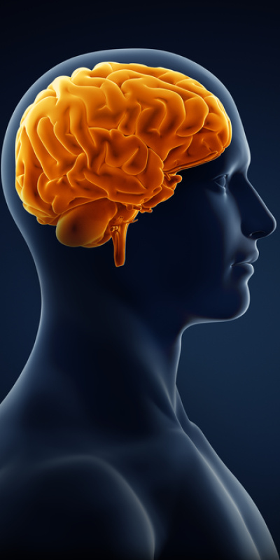 8 saatten fazla oturmak demans riskini artırıyor