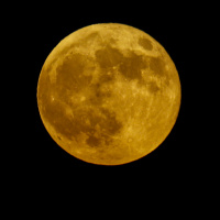 'Altına Hücum Dönemi' başladı