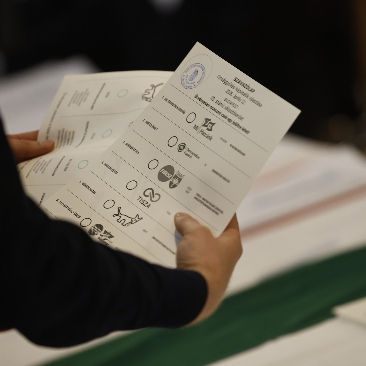 Macaristan'da kritik seçim