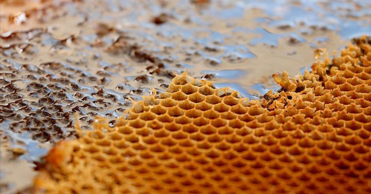 Türkiye'nin bal ihracatı 31 ülkeye ulaştı