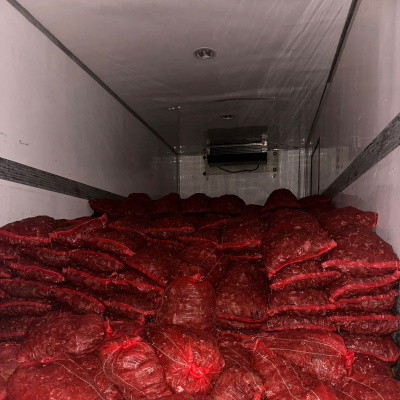 10 ton kaçak midye ele geçirildi