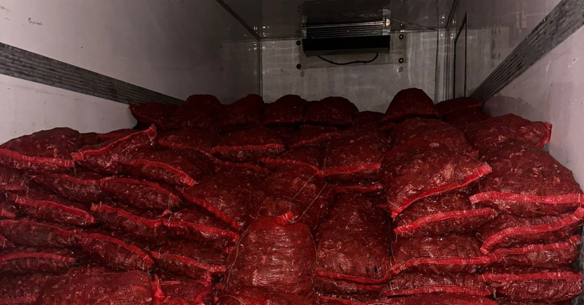 Bursa ve Balıkesir'de 10 ton kaçak midye ele geçirildi