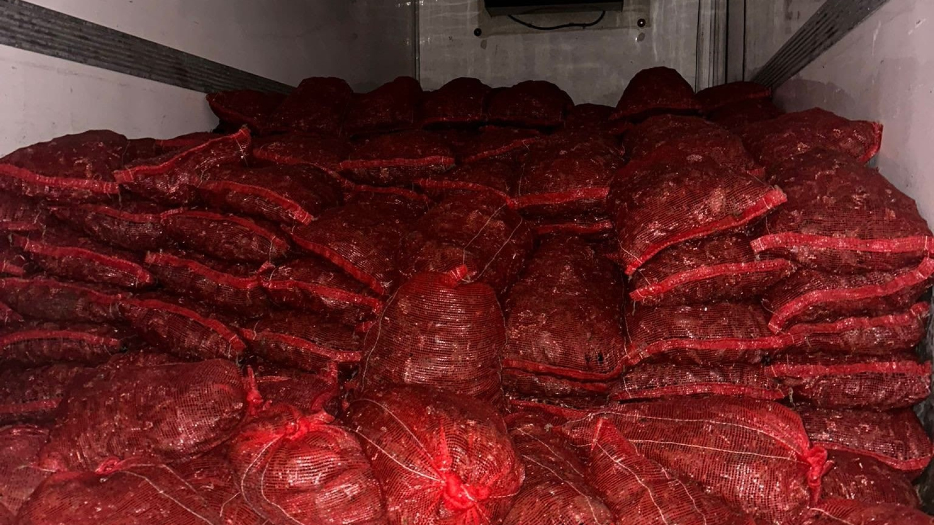 Bursa ve Balıkesir’de 10 ton kaçak midye ele geçirildi