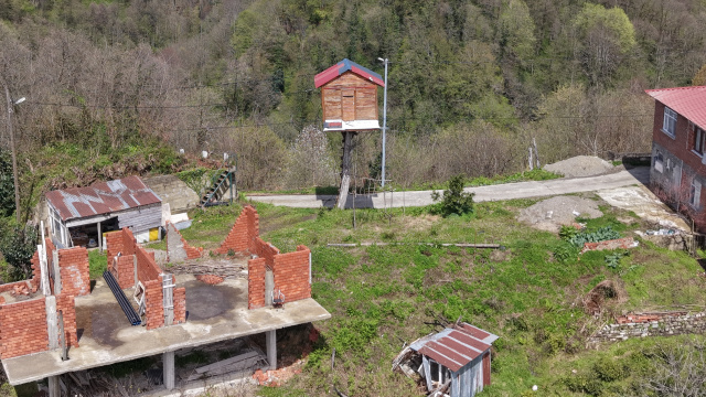 7 metre yükseklikte! "Zekasını konuşturmuş"