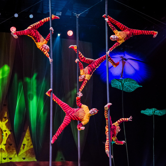 Cirque du Soleil 'OVO'yla İstanbul'da