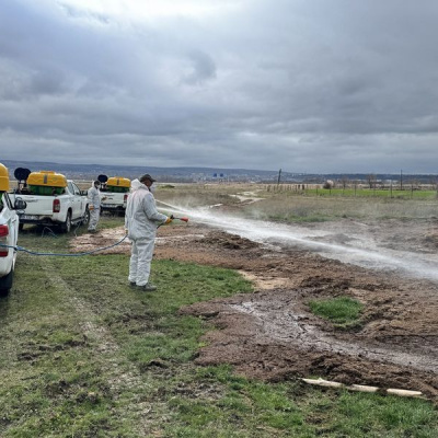 İstanbul Valiliği'nden karasinek genelgesi