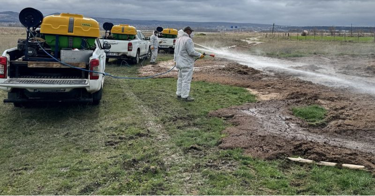 İstanbul Valiliği Genelgesi: Vektörler ve Zararlı Haşereler