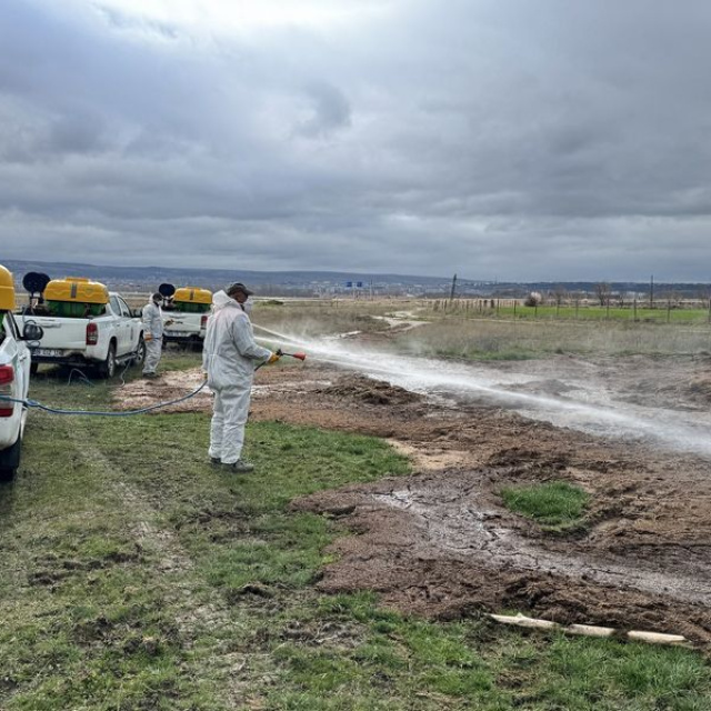 İstanbul Valiliği'nden karasinek genelgesi