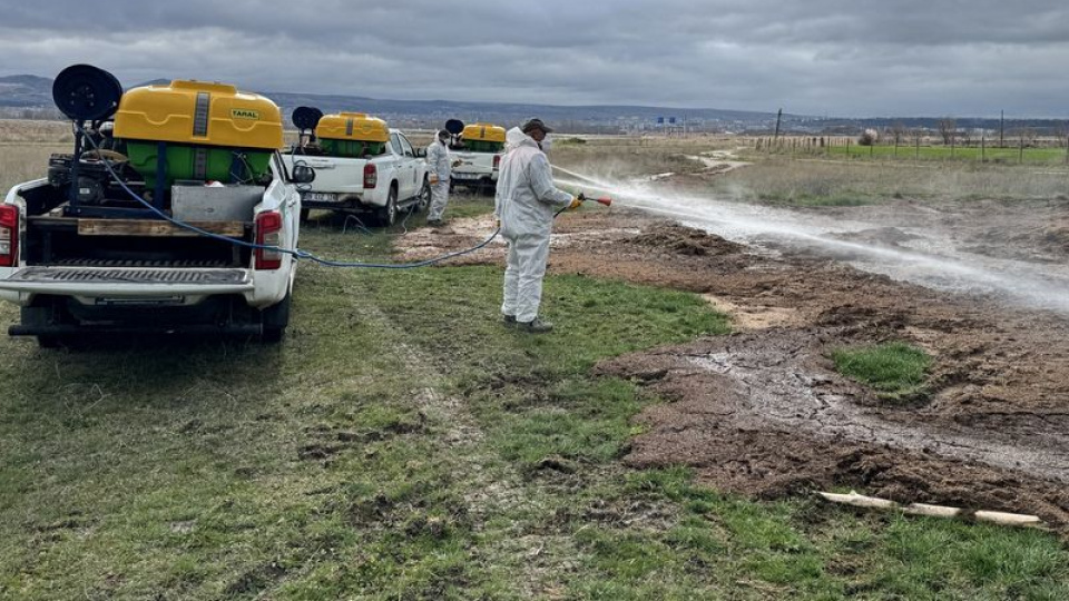 İstanbul Valiliği'nden karasinek genelgesi