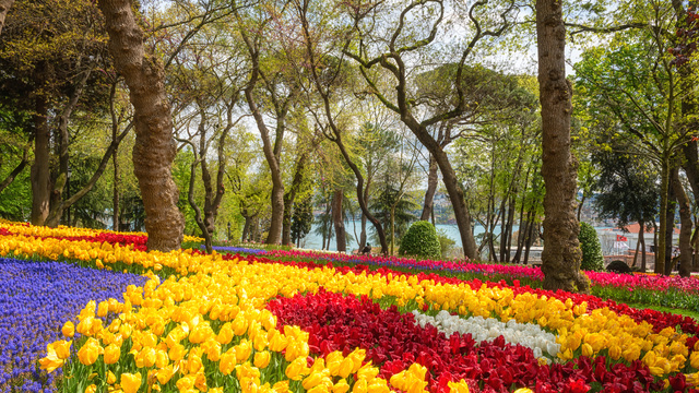 İstanbul Lale Festivali ne zaman?