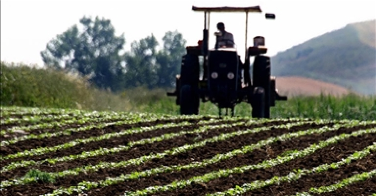 Körfez'deki savaşın tarım vegıda maliyeti
