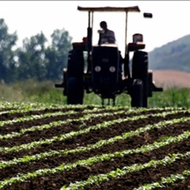 Savaşın tarım ve gıdaya maliyeti belli oldu