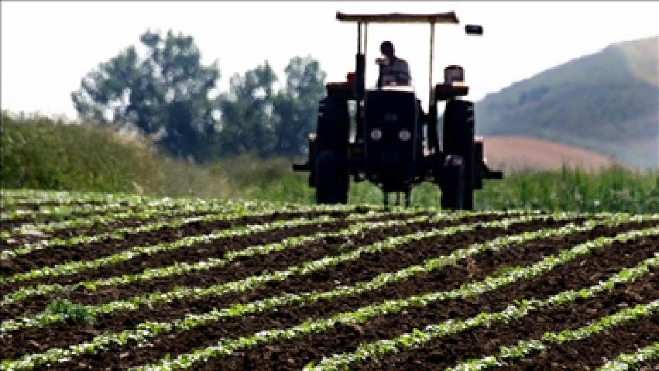 Savaşın tarım ve gıdaya maliyeti belli oldu