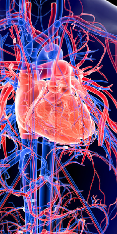 Aylar öncesinden belirti veriyor!