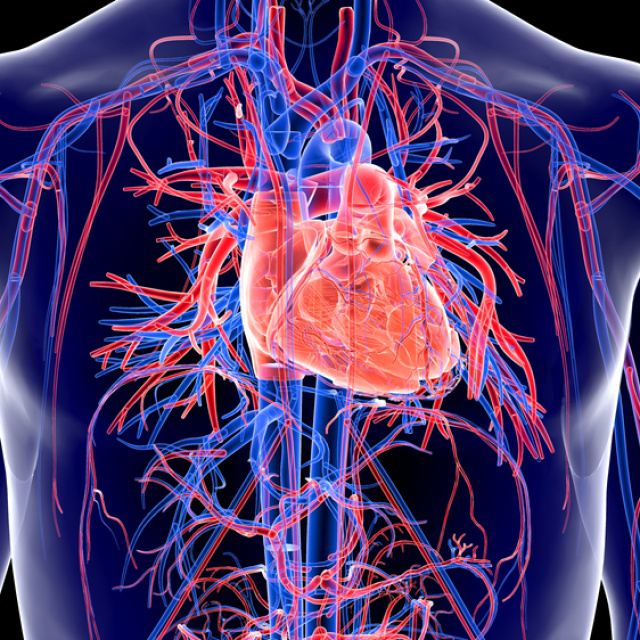 Aylar öncesinden belirti veriyor!