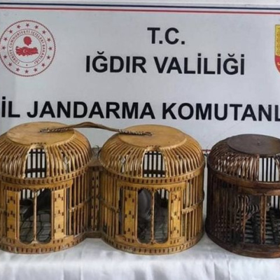Iğdır'da kaçak keklik avına 72 bin TL ceza