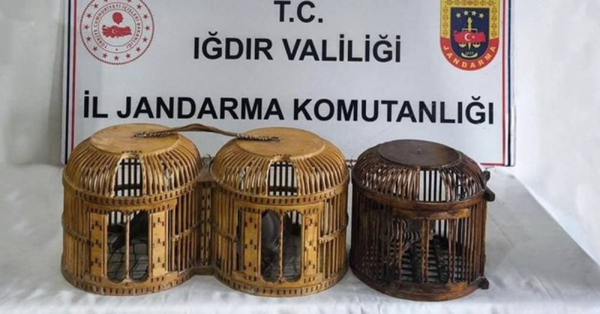 Iğdır'da Keklik Avına 72 Bin TL Ceza