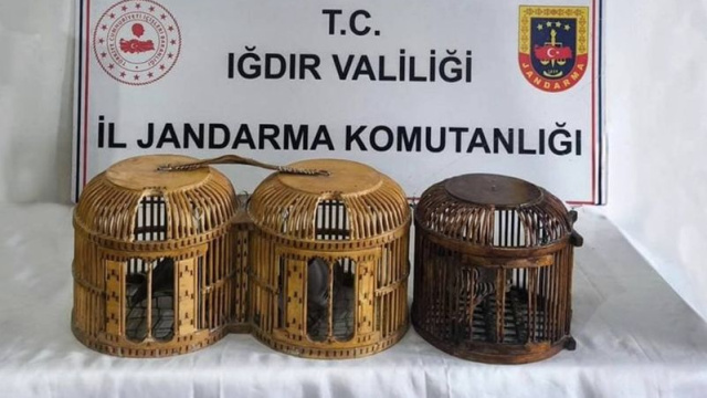 Iğdır'da kaçak keklik avına 72 bin TL ceza