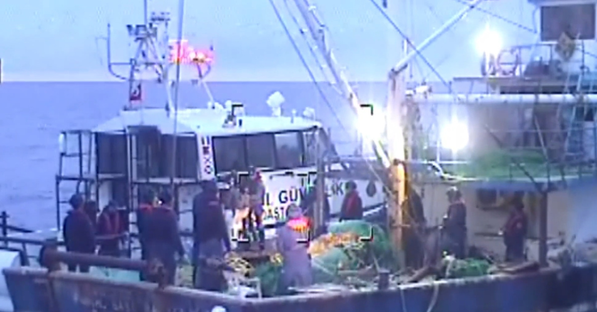 200 kgskunk ele geçirildi! İstanbul açıklarında ortak operasyon