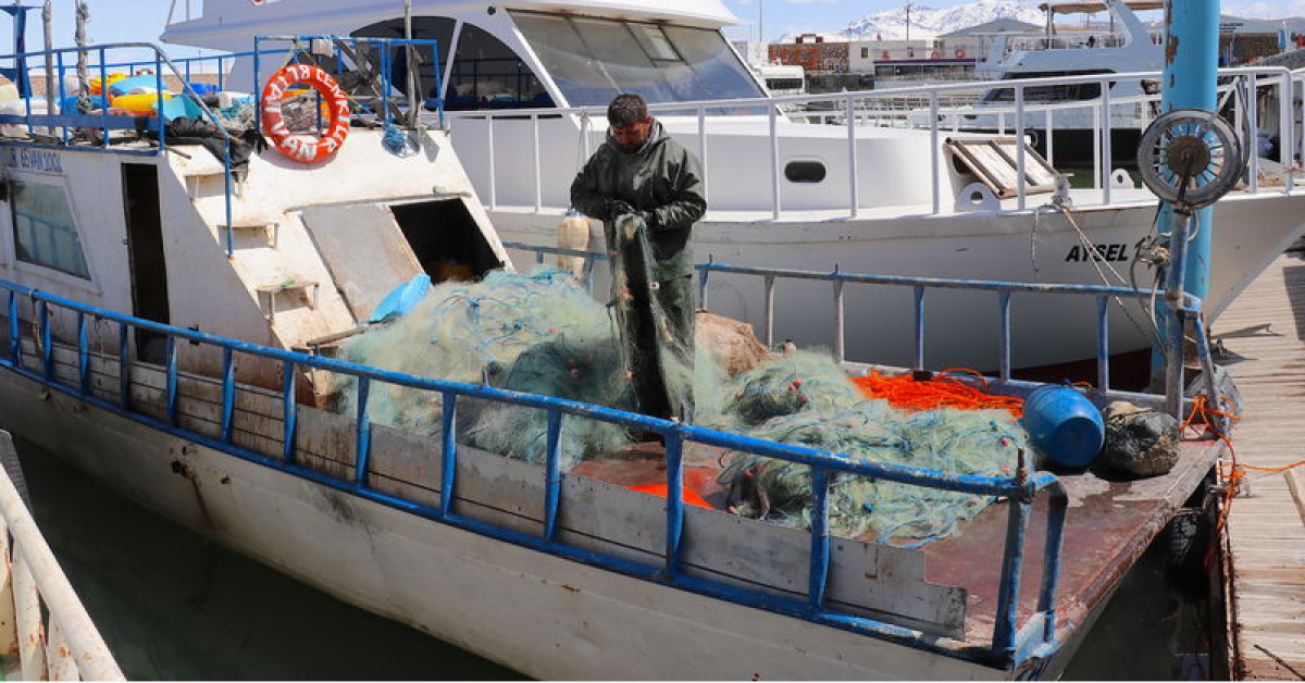 Van Gölünde İnci Kefali için Av Yasağı Başlıyor