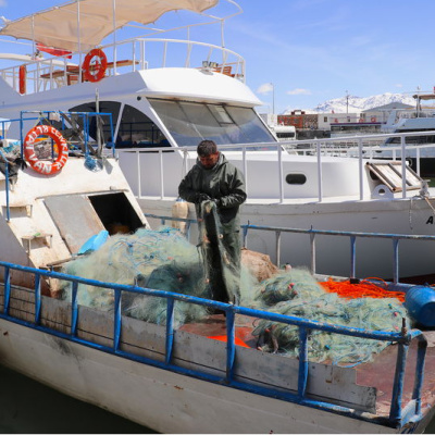 İnci kefali için av yasağı yarın başlıyor
