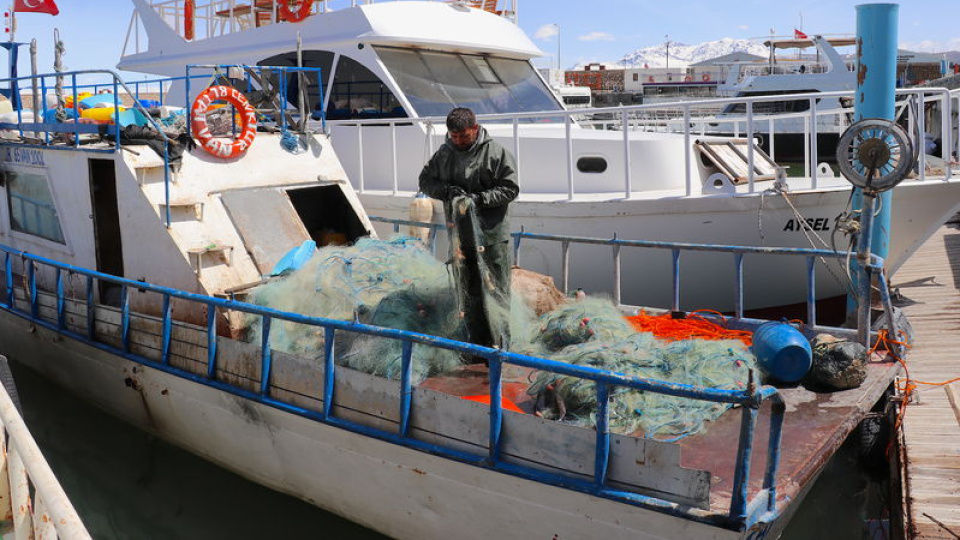 İnci kefali için av yasağı yarın başlıyor