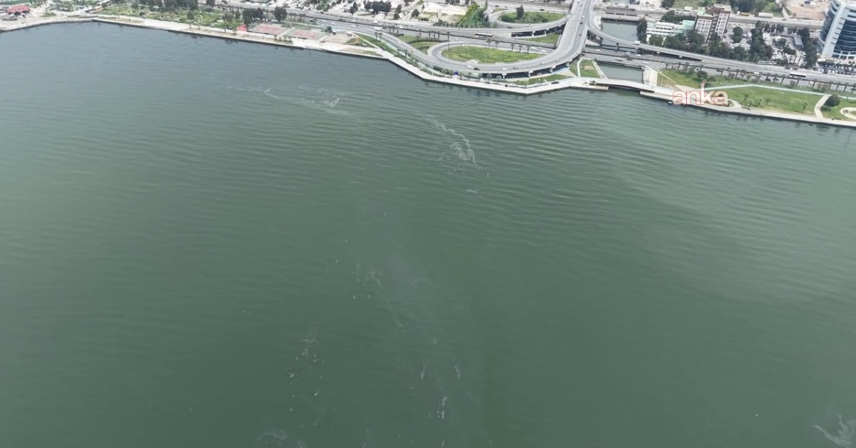 İzmir Körfezi'nde Yeniden Dış Kaynaklı Kirlilik Tespit Edildi