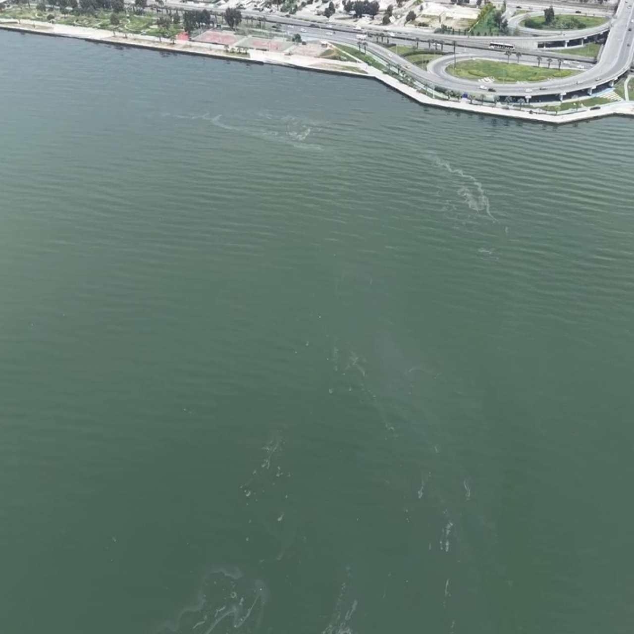 İzmir Körfezi'nde yine dış kaynaklı kirlilik