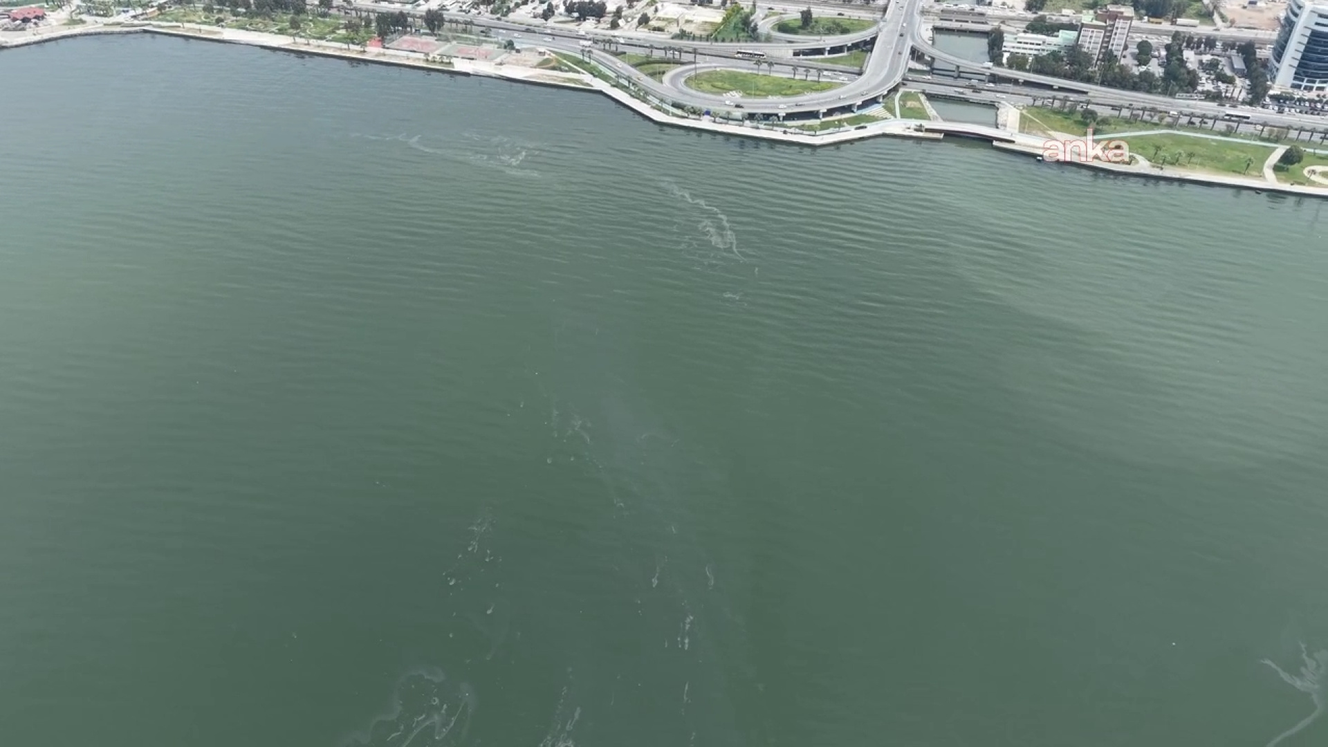 İzmir Körfezi'nde yine dış kaynaklı kirlilik | Son dakika haberleri