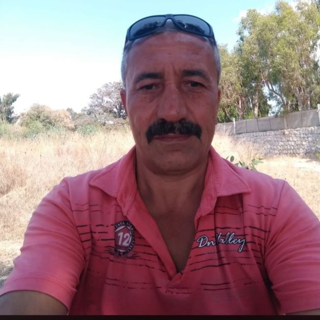 Kaderli'de Doğa'nın Acı Bedeli: Yaşamın Aniden Sonu