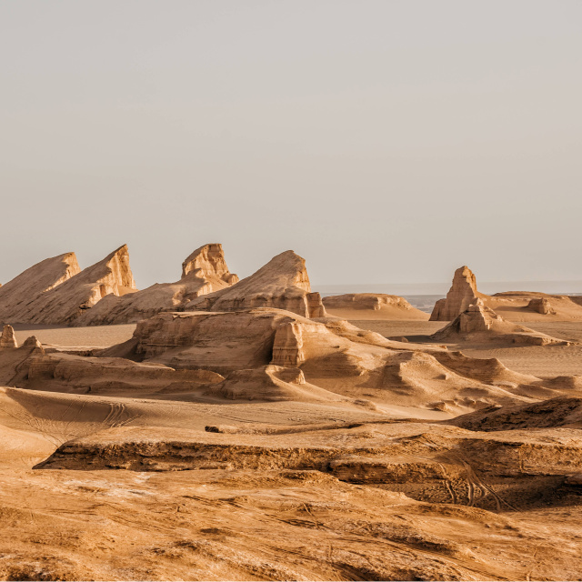 Suyu çölden çıkarıyorlar!
