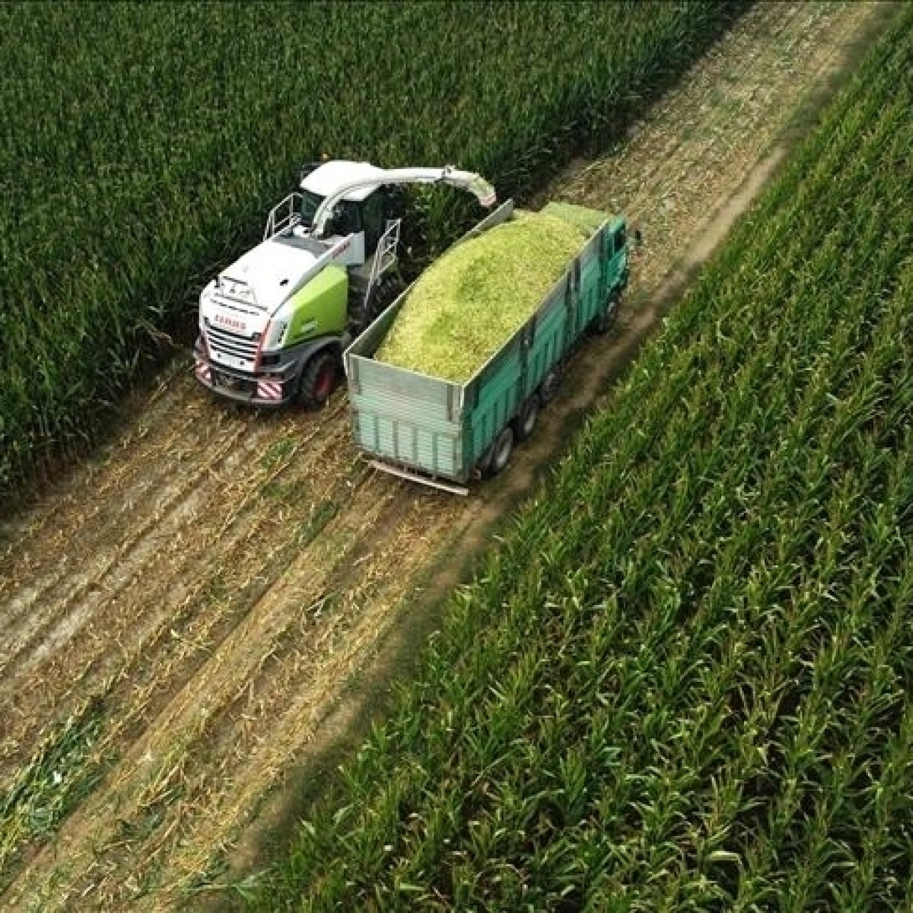 Tarım ÜFE martta aylık bazda yüzde 3,85 arttı