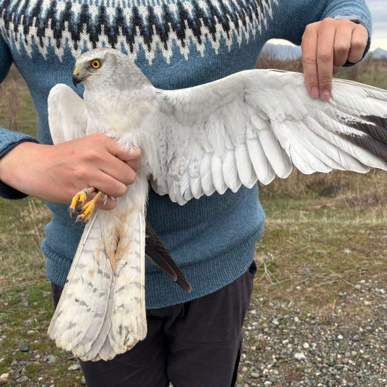 4 günde Azerbaycan'a uçtu!