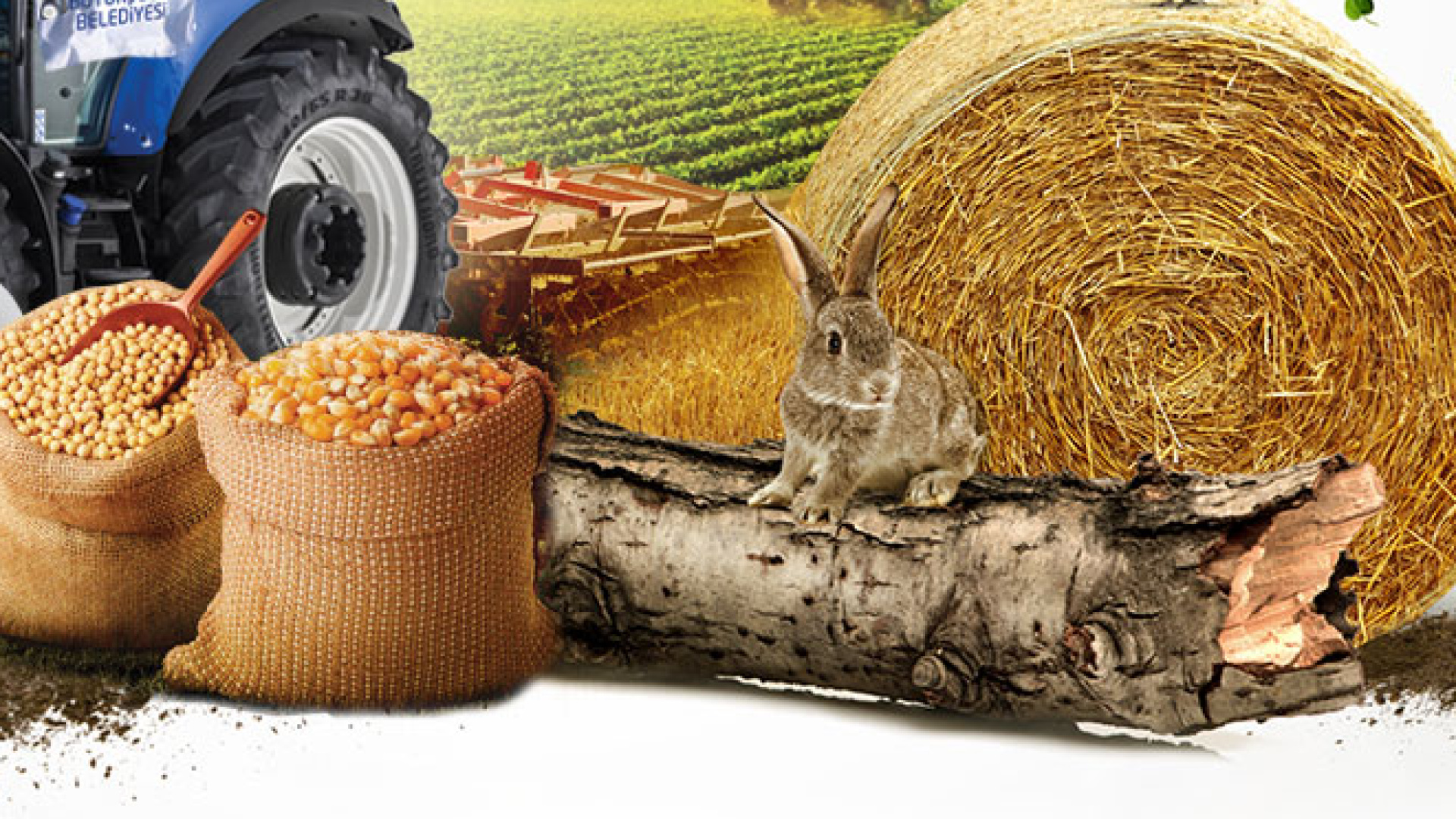 Kayseri'de 360 ton tohum dağıtılacak | Son dakika haberleri