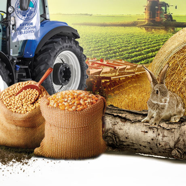 Kayseri'de 360 ton tohum dağıtılacak