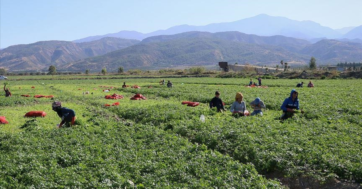 Mevsimlik İşçilere Kideon Tazminatı Hakkında