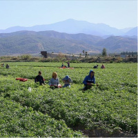 Mevsimlik işçinin izin hakkı var mı?