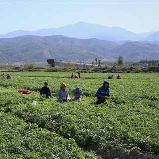 Mevsimlik işçinin izin hakkı var mı?