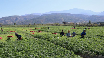 Mevsimlik işçinin izin hakkı var mı?