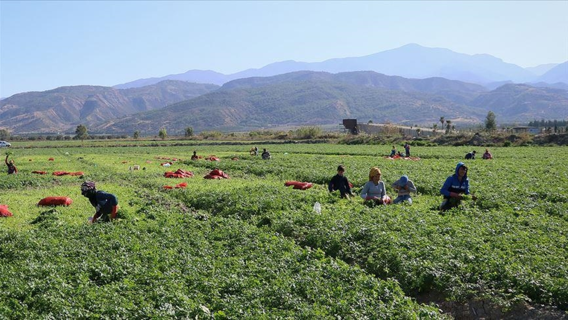 Mevsimlik İşçilerin Kıdem Tazminatı Hakkı: İşte Bilinmesi Gerekenler
