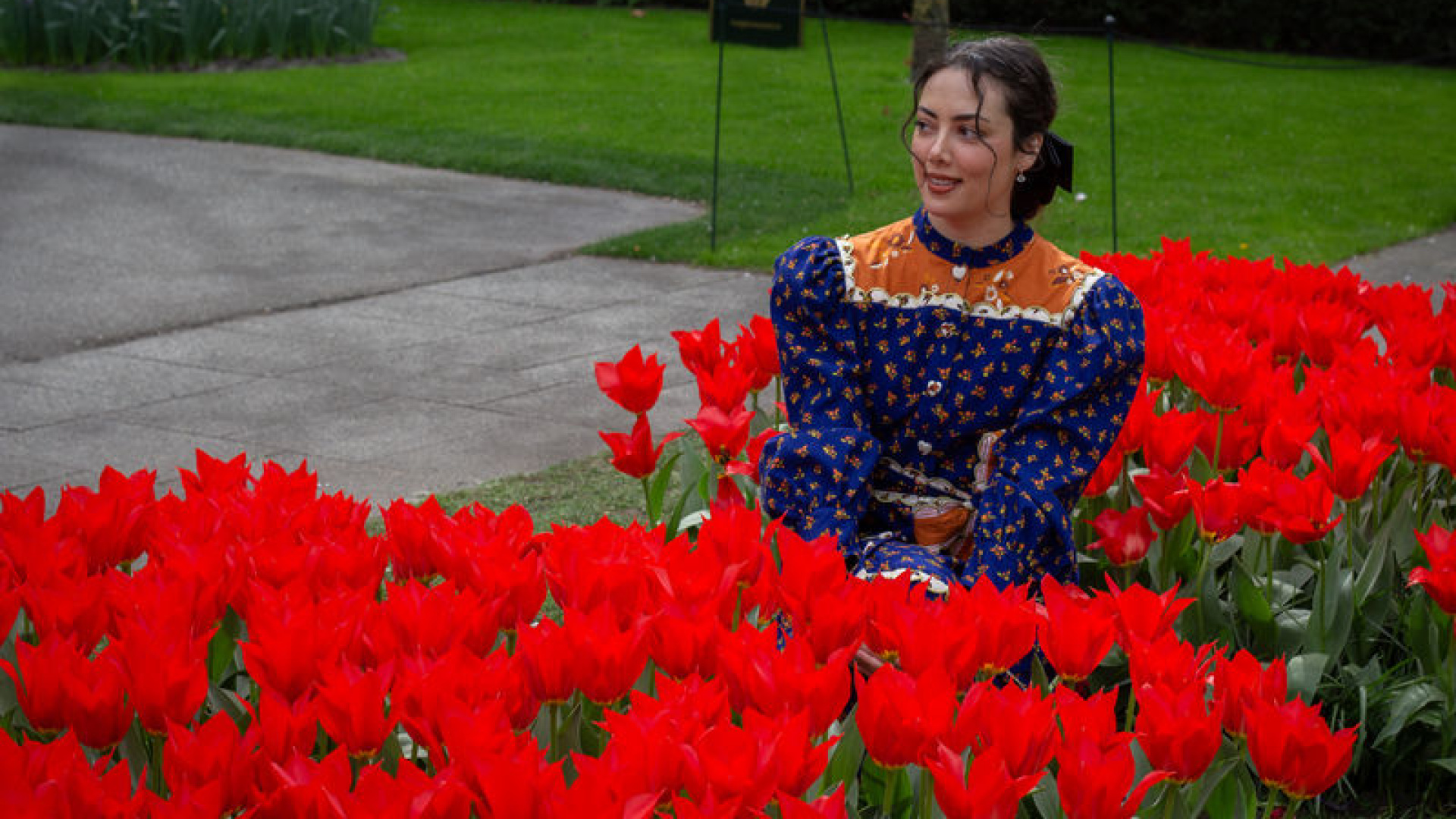 Keukenhof Lale Bahçesi 77. Yılında Ziyaretçilerini Ağırlamaya Başladı