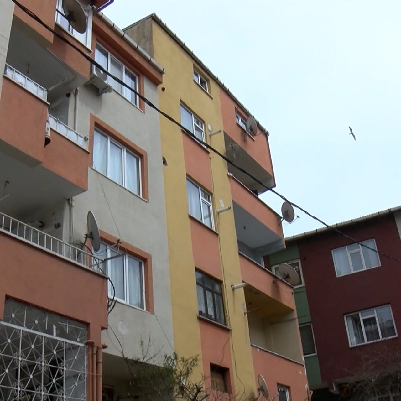 Sesler geldi, kadın cinayeti ortaya çıktı!