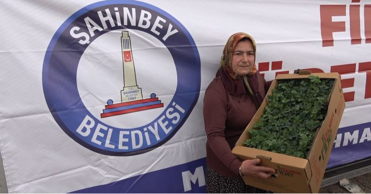 Şahinbey'de 5 milyon fide destekliyor