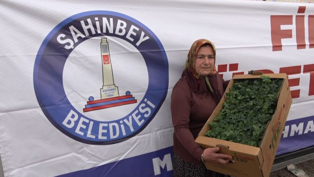 Şahinbey'de 5 milyon fide desteği