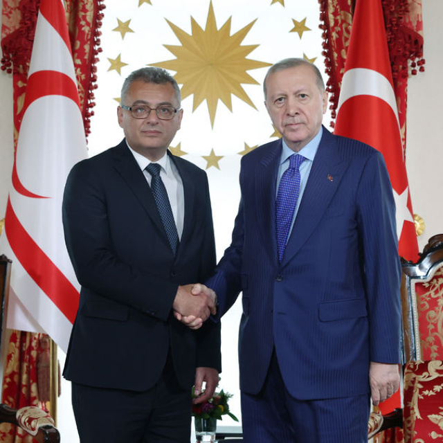 Cumhurbaşkanı Erdoğan, Erhürman ile görüştü