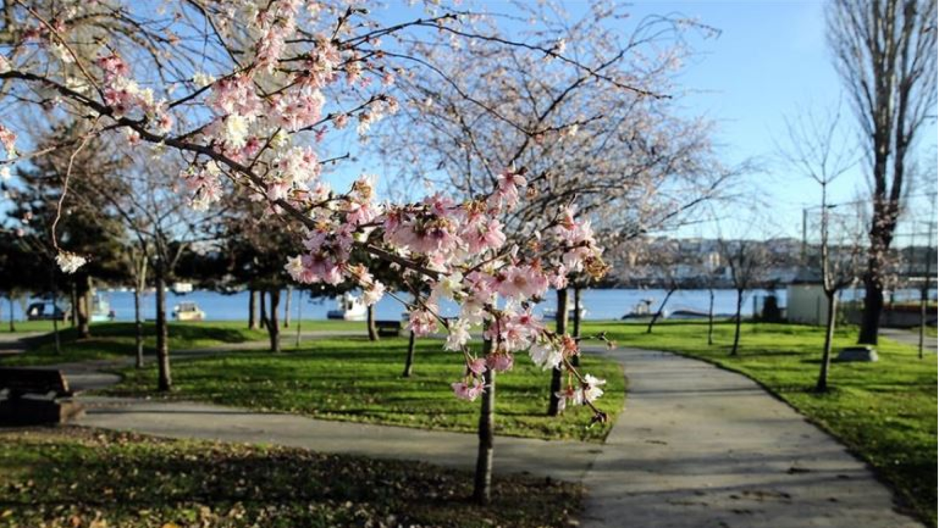 Nisan ayında Türkiye: Aynı gün içinde kış ve ilkbahar
